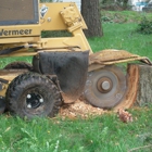 Stump Grinding By Jim