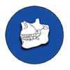Petcash Oral Surgery gallery