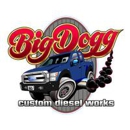 Big Dogg Custom Diesel Works - Diesel Fuel