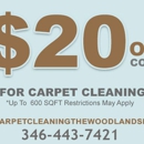 Carpet Cleaning The Woodlands INC - Carpet & Rug Cleaners