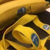 Chiquita Brands International Inc gallery
