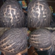 Locs By KeeshaMeans