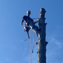 Mike Gibson Tree Service - Tree Service