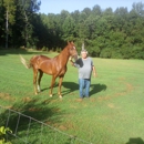 Singing Hills Stable - Livestock Hauling