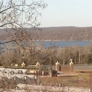 Photo #01
