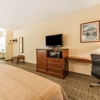 Quality Inn Rome South gallery
