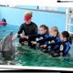 Clearwater Marine Aquarium Inc