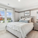 Essence at Colonial Circle by Stanley Martin Homes - Real Estate Developers
