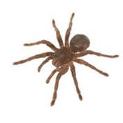 Gallery Image Number 5