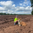 The Corn Maze