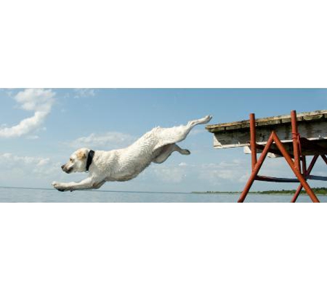 Stawell Veterinary Clinic - Stawell, VIC