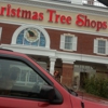 Christmas Tree Shops gallery