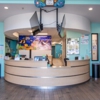 Dental gallery