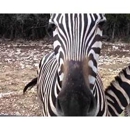 Briarwood Ranch Safari Park - Parks