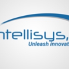 Wintellisys Inc Technology Services