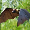Batman Enterprises, LLC gallery