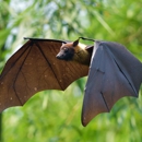 Batman  Enterprises, LLC - Altering & Remodeling Contractors