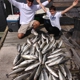 Southern Comfort Fishing Charters LLC