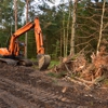 Buckeye Tree Service Solutions gallery