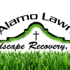 Alamo Lawn and Landscape Recovery gallery