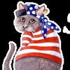 The Sound Cat Veterinary Hospital gallery