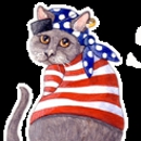 The Sound Cat Veterinary Hospital - Veterinarians