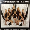 USA Gymnastics Academy gallery