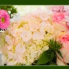 Englewood Florist & Flower Delivery gallery