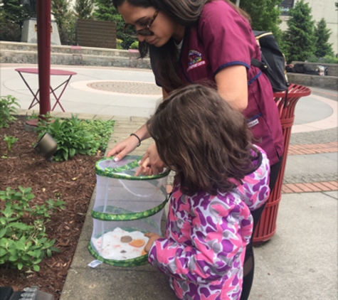 Academy House Child Development Center - Jersey City, NJ. This is from our lifecycle of a butterfly STEM study. After watching our caterpillars transition, we released them in a nearby park!