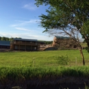 The Stables at Brush Creek - Horse Training
