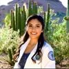 Stitch Veterinary Urgent Care and Surgery gallery