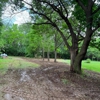 Hemenway Land Enhancement gallery