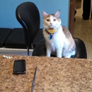 Companion Animal Clinic - Pet Services