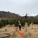 Hopestill Farm - Christmas Trees