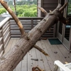 4 Seasons Tree Service gallery