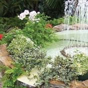 Gallery Image Number 5