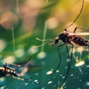 Identify Pest Control - Pest Control Equipment & Supplies