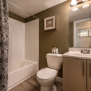 The Meadows at Capitol Heights - Apartments