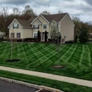 Leading Edge Landscape and Design - Landscape Designers & Consultants