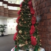 PainStop Spine Clinic LLC gallery