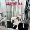 Watermill Auto & Pet Wash gallery