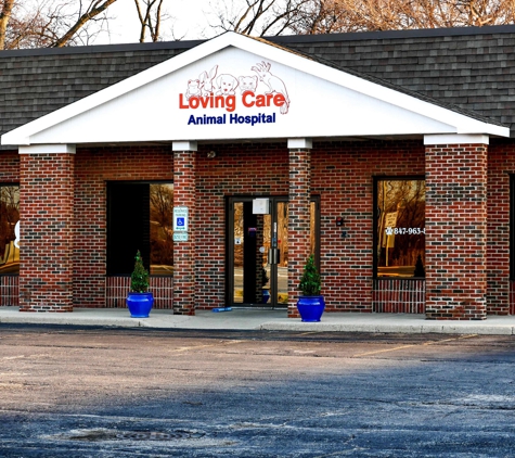 Loving Care Animal Hospital - Palatine, IL