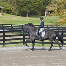Evermoore Farm - Organizing Services-Household & Business