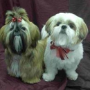 Top Knot pet Fluff -n- Buff - Pet Grooming