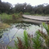 Long Key Natural Area & Nature Center gallery
