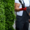 Five Star Tree & Landcaping Services gallery