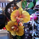 Flowers & Flowers - Florists