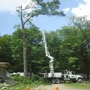 Beeghly Tree Service