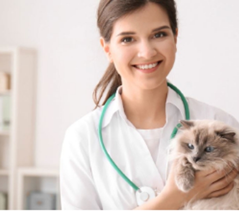 The Veterinary Hospital North - Clarkson, WA
