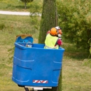 Advanced Tree & Stump Removal - Tree Service
